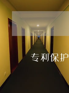 专利保护律师收费标准