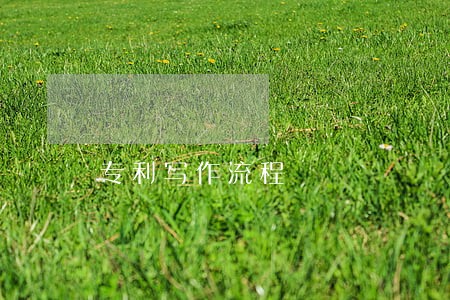 专利写作流程 专利写作流程
