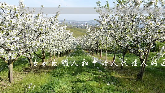 专利发明人和申请人代理人的区别 专利发明人和申请人代理人的区别