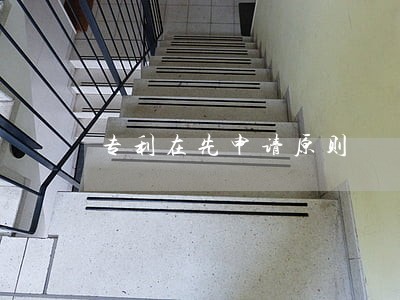 专利在先申请原则 专利在先申请原则