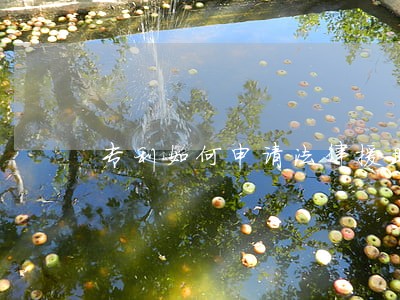 专利如何申请法律援助