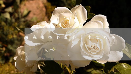 专利委托书盖不了章怎么办