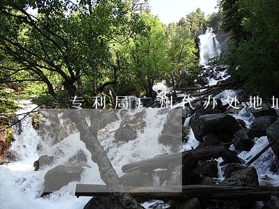 专利局广州代办处地址 专利局广州代办处地址