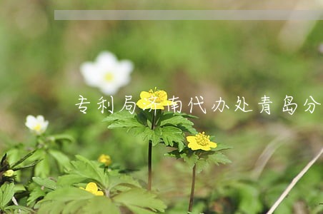 专利局济南代办处青岛分理处 专利局济南代办处青岛分理处