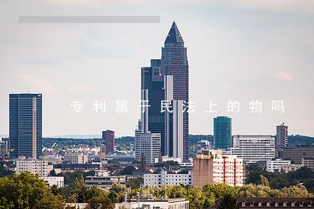 专利属于民法上的物吗 专利属于民法上的物吗