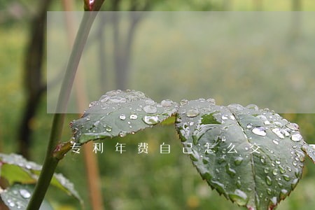 专利年费自己怎么交 专利年费自己怎么交