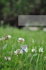 专利授权单位 专利授权单位
