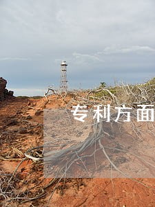 专利方面的律师 专利方面的律师