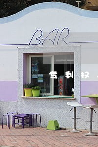 专利权入股