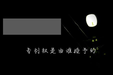 专利权是由谁授予的 专利权是由谁授予的