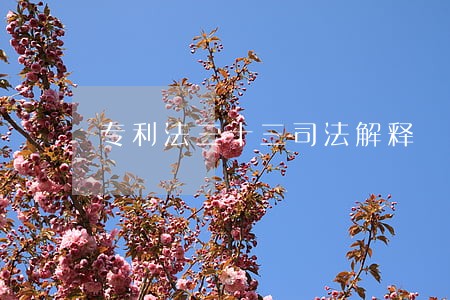 专利法三十三司法解释 专利法三十三司法解释