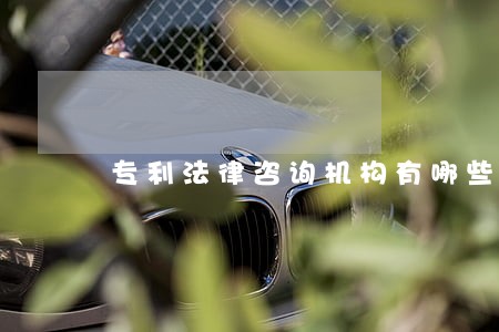 专利法律咨询机构有哪些 专利法律咨询机构有哪些