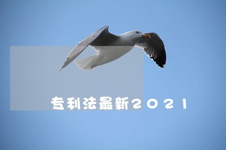 专利法最新2021 专利法最新2021