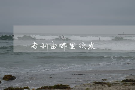 专利由哪里颁发 专利由哪里颁发