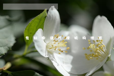 专利申请代理机构泄密 专利申请代理机构泄密