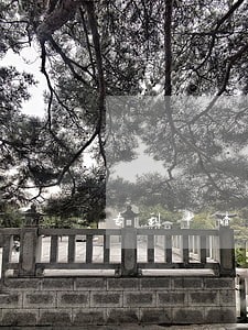 专利申请发明人填写表 专利申请发明人填写表