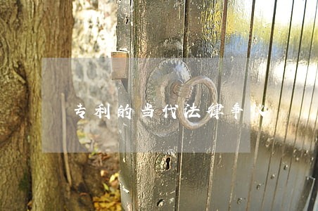 专利的当代法律争议 专利的当代法律争议