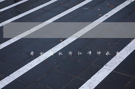 专利确权诉讼律师收费 专利确权诉讼律师收费