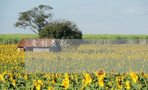 专利类别 专利类别