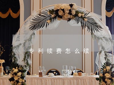 专利续费怎么续 专利续费怎么续
