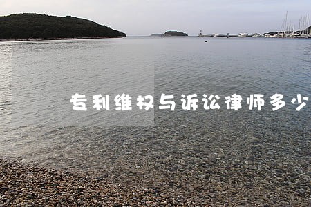 专利维权与诉讼律师多少钱 专利维权与诉讼律师多少钱