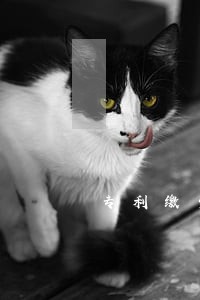 专利缴费怎么交 专利缴费怎么交
