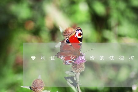 专利证券化风险的法律控制