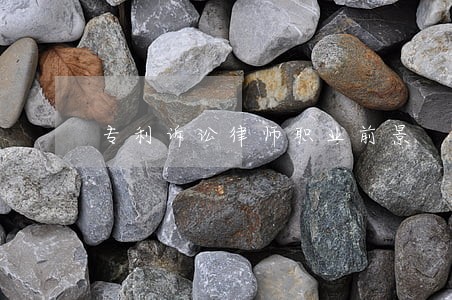 专利诉讼律师职业前景 专利诉讼律师职业前景