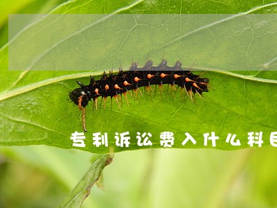 专利诉讼费入什么科目 专利诉讼费入什么科目