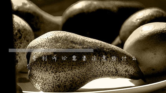 专利诉讼需要注意些什么 专利诉讼需要注意些什么