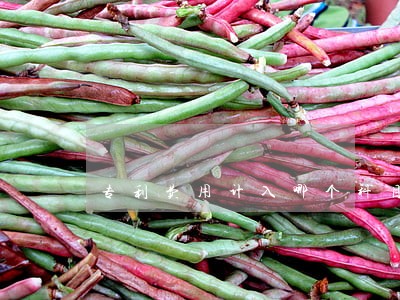 专利费用计入哪个科目 专利费用计入哪个科目