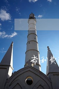 专利费逾期超过6个月 专利费逾期超过6个月