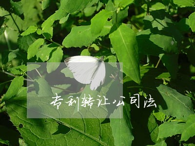 专利转让公司法 专利转让公司法