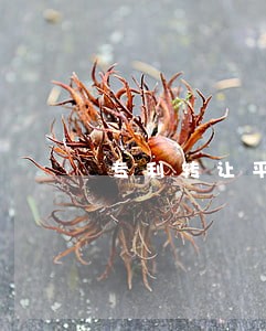 专利转让平台可靠吗如何收费 专利转让平台可靠吗如何收费