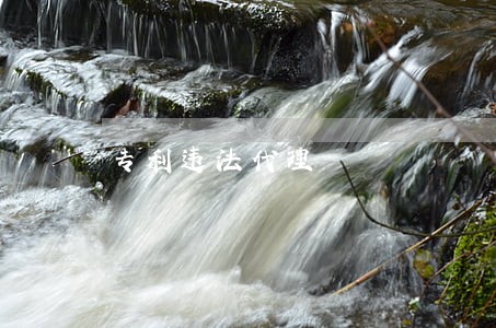 专利违法代理 专利违法代理
