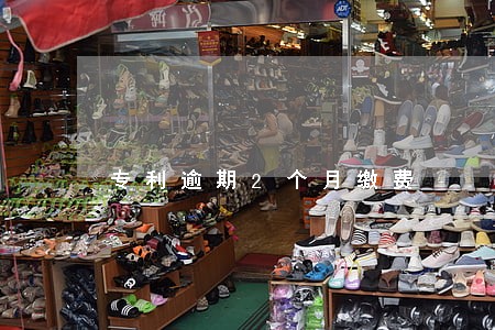 专利逾期2个月缴费 专利逾期2个月缴费