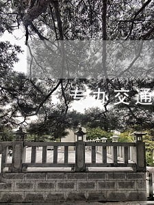 专办交通肇事案律师哪家强 专办交通肇事案律师哪家强