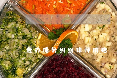 专办债务纠纷律师价格 专办债务纠纷律师价格