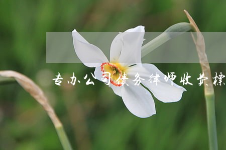 专办公司债务律师收费标准 专办公司债务律师收费标准