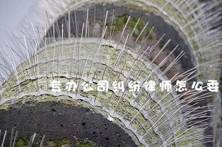专办公司纠纷律师怎么委托 专办公司纠纷律师怎么委托