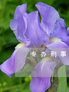 专办刑事会见律师咨询热线