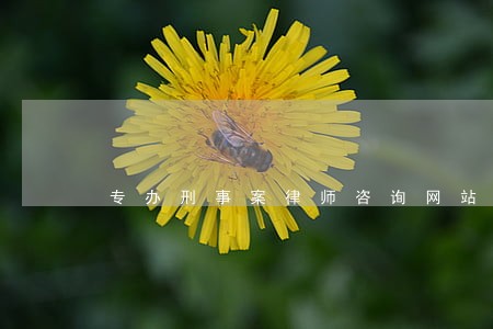 专办刑事案律师咨询网站 专办刑事案律师咨询网站