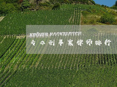 专办刑事案律师排行 专办刑事案律师排行