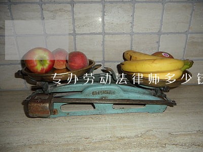 专办劳动法律师多少钱 专办劳动法律师多少钱