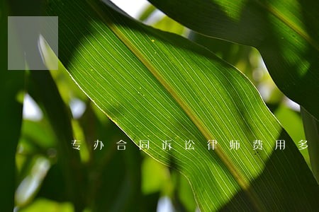 专办合同诉讼律师费用多少