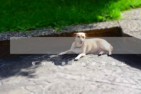 专办土地征收律师团队 专办土地征收律师团队