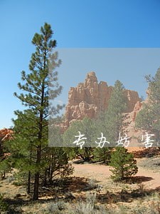 专办妨害公务罪辩护律师诉讼费 专办妨害公务罪辩护律师诉讼费