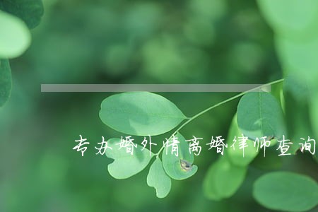 专办婚外情离婚律师查询 专办婚外情离婚律师查询
