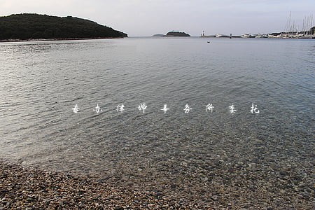 专办律师事务所委托 专办律师事务所委托