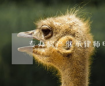 专办房产继承律师电话免费咨询 专办房产继承律师电话免费咨询